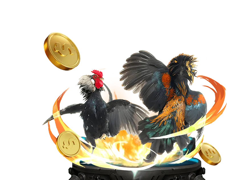 Đá gà Thomo trực tuyến tại Alo789